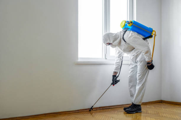 Best Pest Prevention Services  in Day Heights, OH